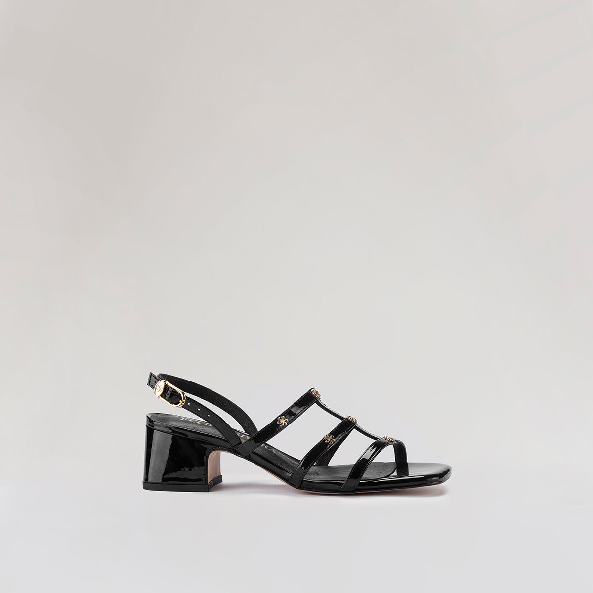 61302GISELAS.CHAROLNEGROESTUDIO1.jpg